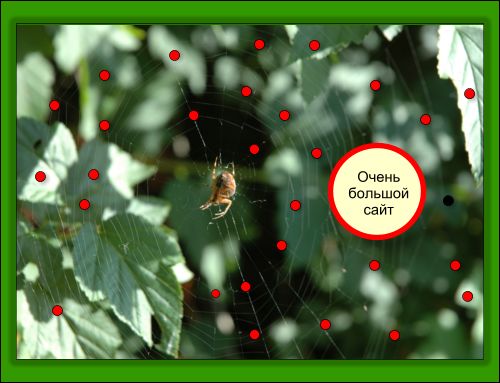 Web