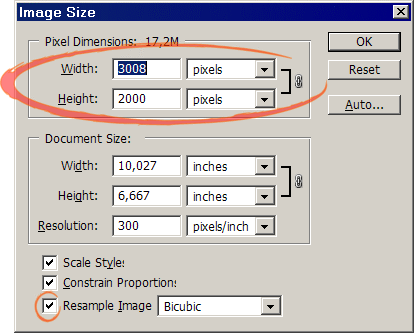  Image Size